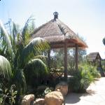 Gazebos, Umbrellas & Tropical Cabins